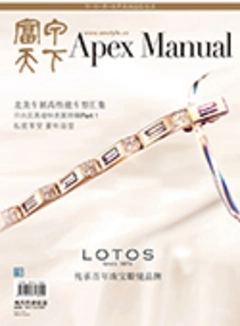 APEX MANUAL